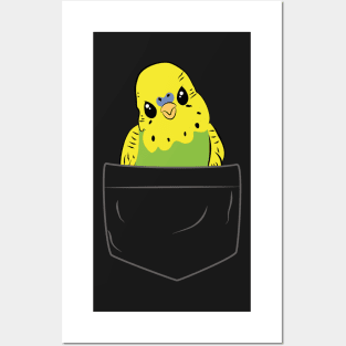 Cute Green Budgie in Pocket for Parakeet Budgerigar Lover Posters and Art